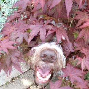 Meet your Posher, Linda